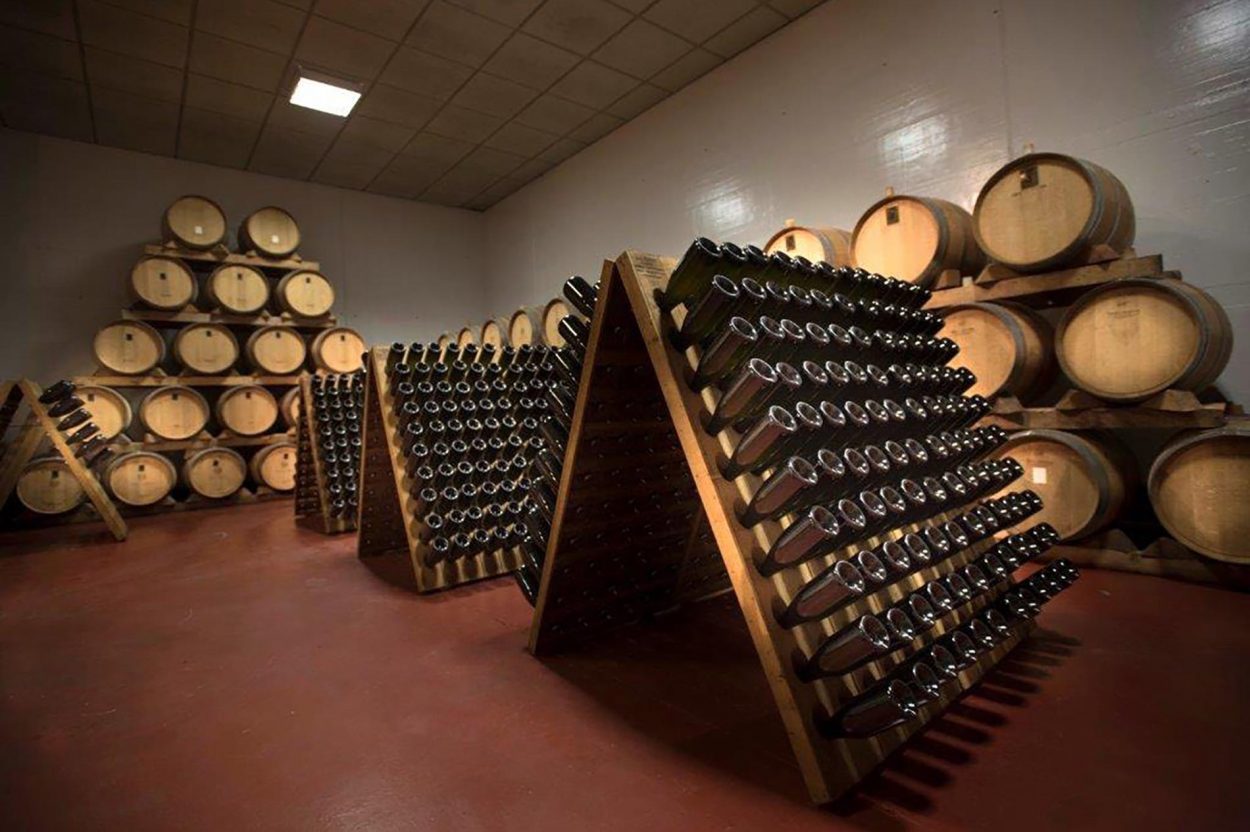 Azienda Agricola Giribaldi — foto 6